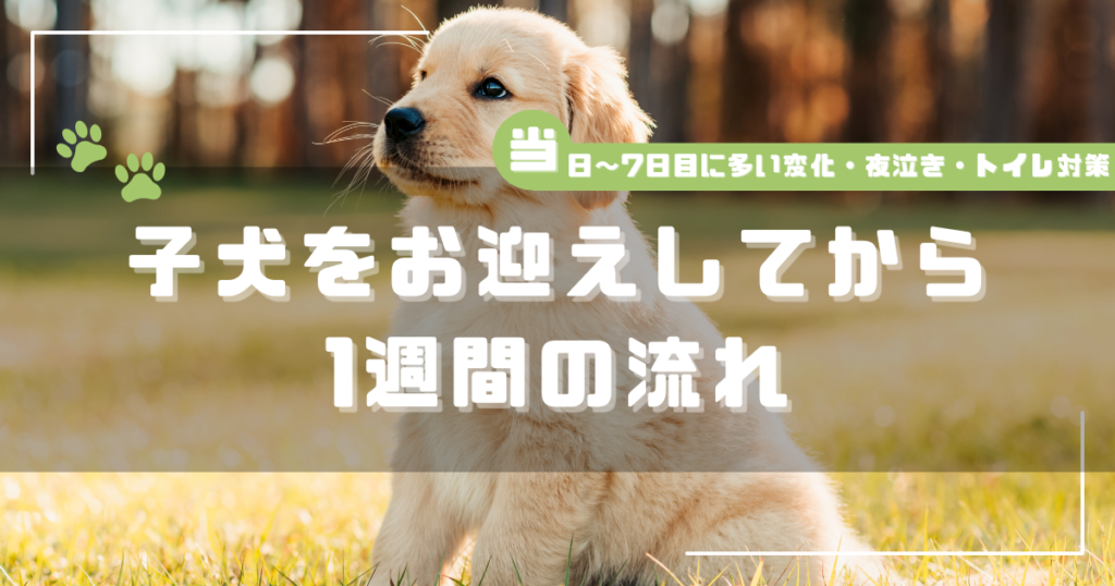 芝生の上に座る子犬の写真に「子犬をお迎えしてから1週間の流れ｜日〜7日目に多い変化・夜泣き・トイレ対策」と書かれたアイキャッチ画像