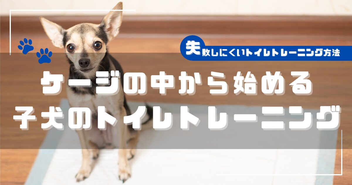 トイレシートの上に座る子犬と、ケージの中から始める子犬のトイレトレーニングを解説したアイキャッチ画像