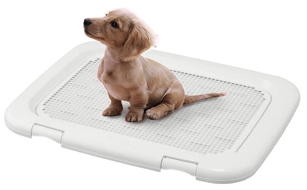 ベッドとトイレを分けて配置した、子犬のトイレトレーニング用ケージ内のレイアウトを示した図