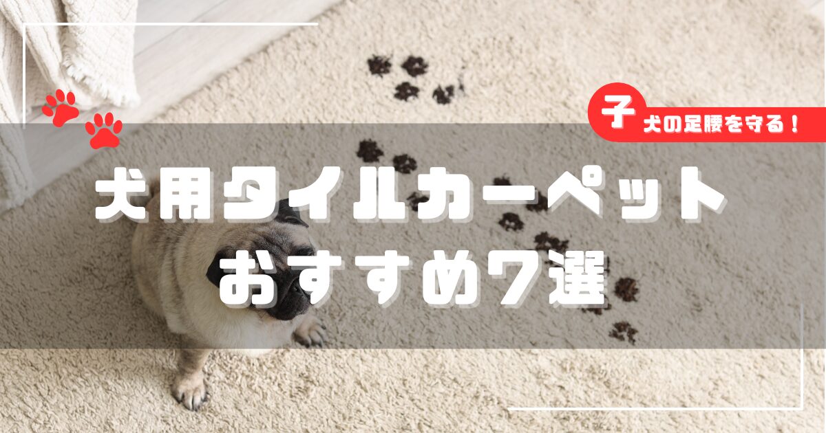 犬用・子犬用タイルカーペットおすすめ7選のアイキャッチ。滑り防止マットのイメージ画像。