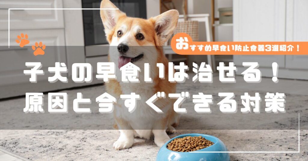子犬の早食いを治す対策を解説する記事のアイキャッチ画像（フードボウルと子犬）