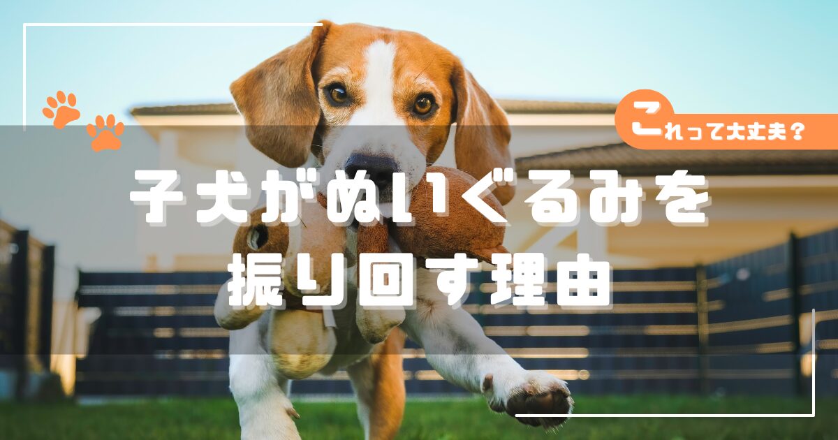子犬がぬいぐるみをくわえて振り回して遊んでいる様子