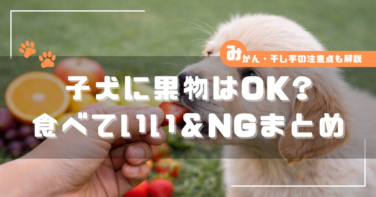 子犬にいちごを与えている様子と果物一覧、食べていいものとNGフルーツの解説イメージ