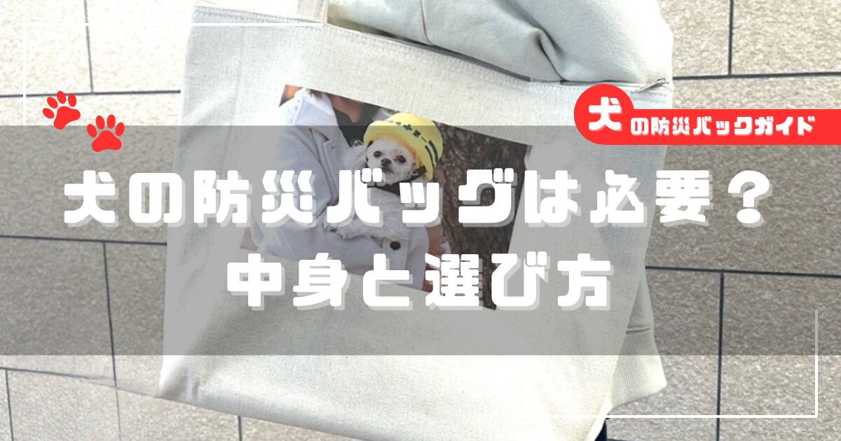 犬の防災バッグセットの必要性と中身・選び方を解説する画像
