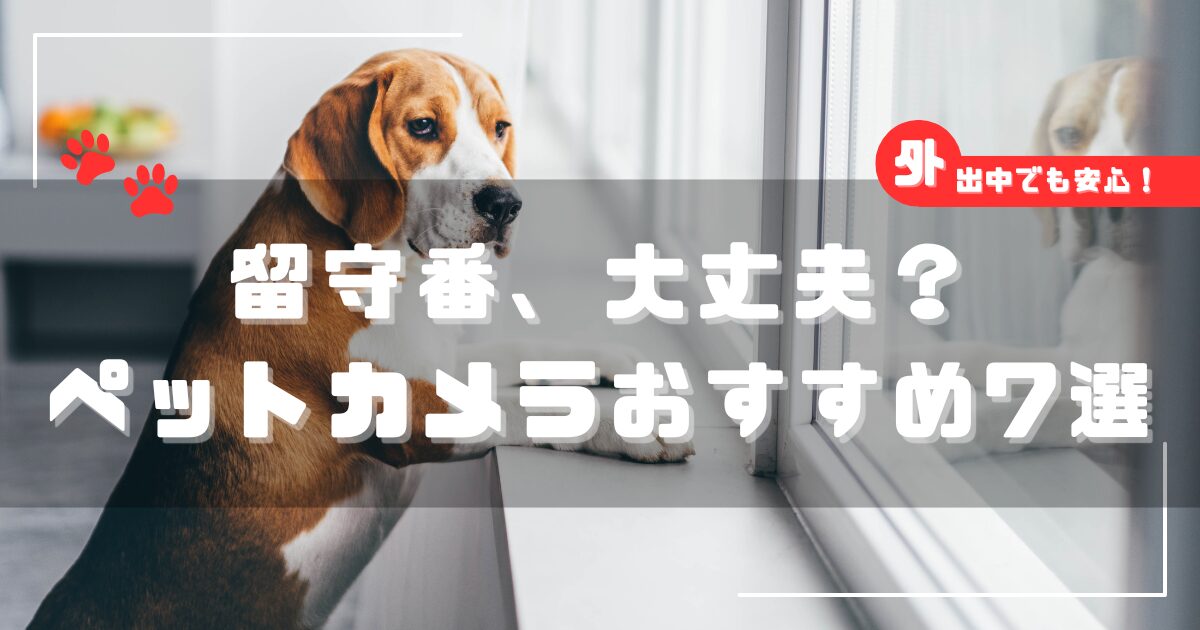 ペットカメラおすすめ7選｜留守番も安心！犬・猫向けの選び方と見守り機能を徹底比較【2026年版】