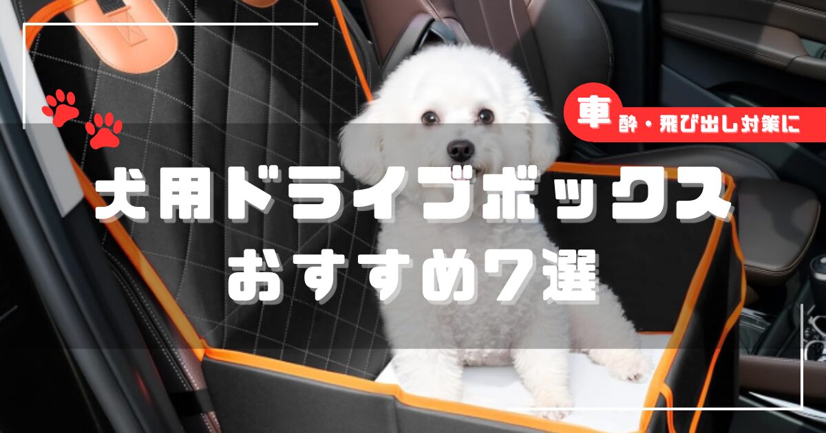 犬用ドライブボックスに座る小型犬のイメージ画像。車酔いや飛び出し防止に役立つおすすめモデルを紹介する記事のアイキャッチ