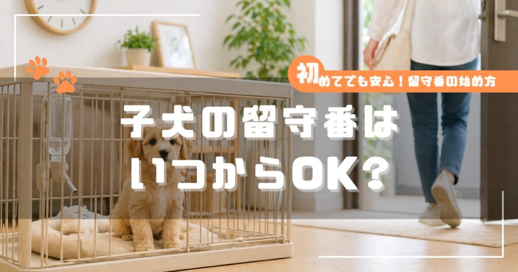 子犬の留守番開始時期を解説する記事のアイキャッチ画像。ケージの中で待つ子犬と外出する飼い主の様子