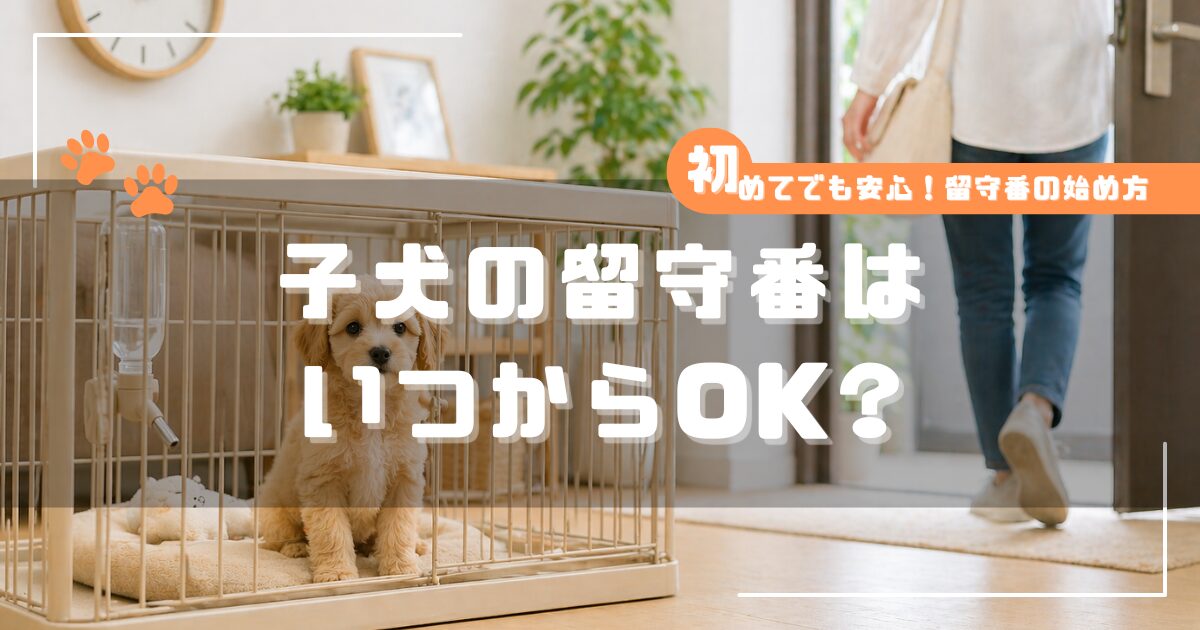 子犬の留守番開始時期を解説する記事のアイキャッチ画像。ケージの中で待つ子犬と外出する飼い主の様子