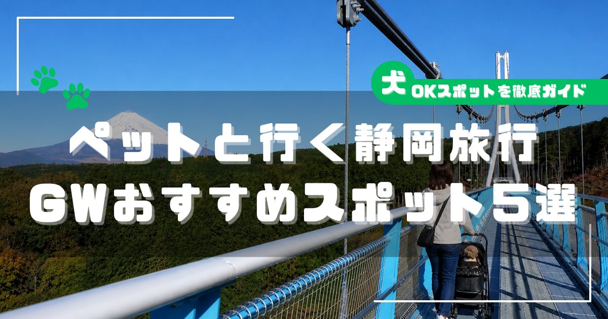 ペットカートを押しながら三島スカイウォークを歩く女性と富士山の景色