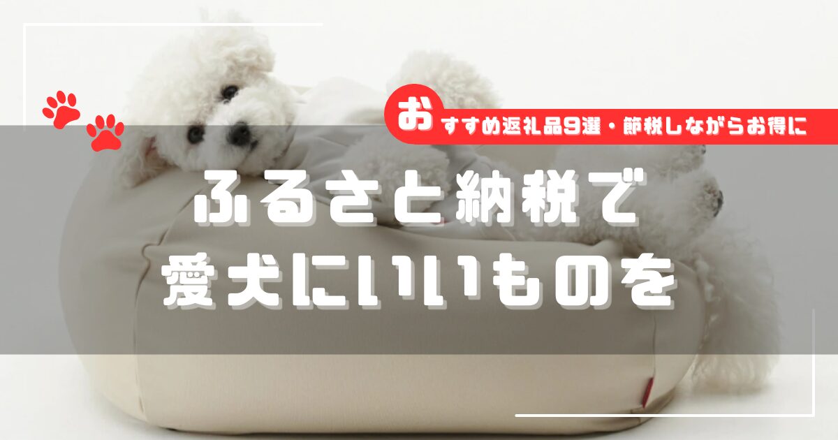 ビーズクッションでくつろぐ白いトイプードル｜ふるさと納税で愛犬にいいものを