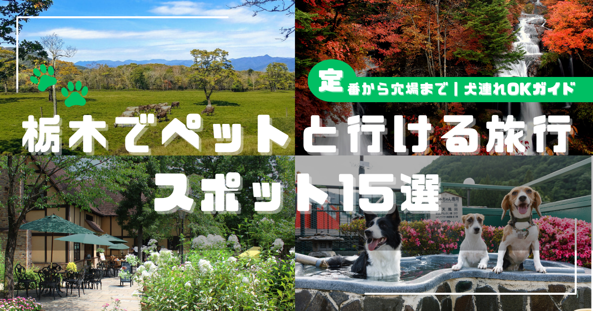 栃木でペットと行ける旅行スポット15選 - 那須の牧場、紅葉の滝、テラス席のあるカフェ、犬専用露天風呂に入る3匹の犬